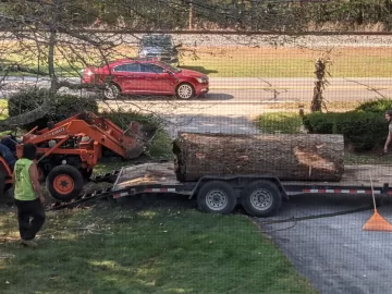 [Hearth.com] Large Oak Taken Down at my Parents House