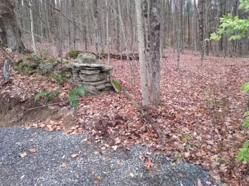 [Hearth.com] Need advice - medium to small trees blocking new property entrance