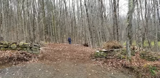 [Hearth.com] Need advice - medium to small trees blocking new property entrance