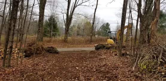 [Hearth.com] Need advice - medium to small trees blocking new property entrance