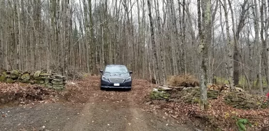 [Hearth.com] Need advice - medium to small trees blocking new property entrance