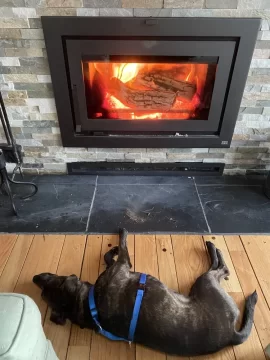 [Hearth.com] Your stove and your dog(s)