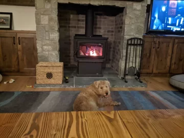 [Hearth.com] Your stove and your dog(s)