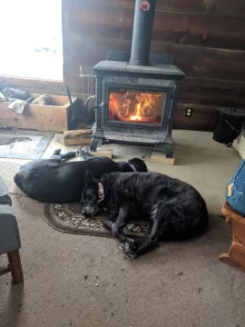 [Hearth.com] Your stove and your dog(s)