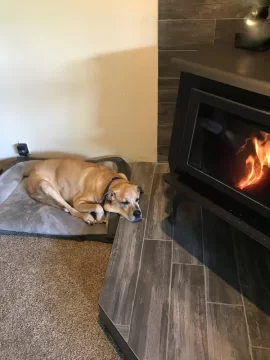 [Hearth.com] Your stove and your dog(s)