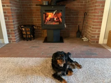 [Hearth.com] Your stove and your dog(s)