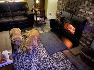 [Hearth.com] Your stove and your dog(s)