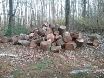 [Hearth.com] My share of over 200 tons of white oak.