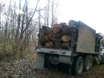 [Hearth.com] My share of over 200 tons of white oak.