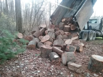 [Hearth.com] My share of over 200 tons of white oak.