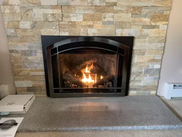 [Hearth.com] Switching from pellet stove to LP.  Mendota or HeatnGlo?