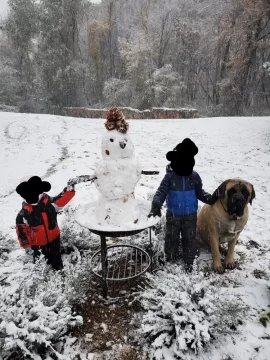 [Hearth.com] Your stove and your dog(s)