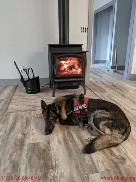 [Hearth.com] Your stove and your dog(s)