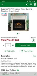 Fire place Insert...for appearance?