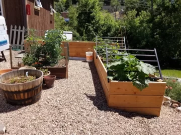 [Hearth.com] 2020 Garden Thread