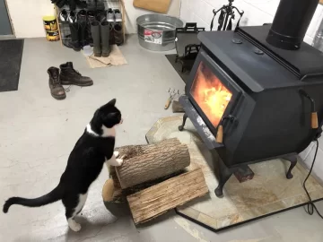 [Hearth.com] Your stove and your dog(s)