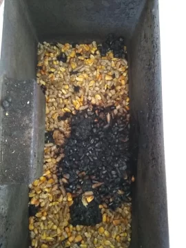 [Hearth.com] How to burn wood pellets in 2006 Auburn corn burner