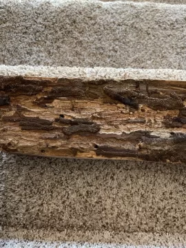 [Hearth.com] Help me id this wood