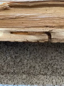 [Hearth.com] Help me id this wood