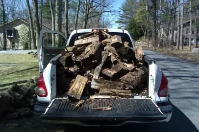 [Hearth.com] How much wood do you think this will haul?