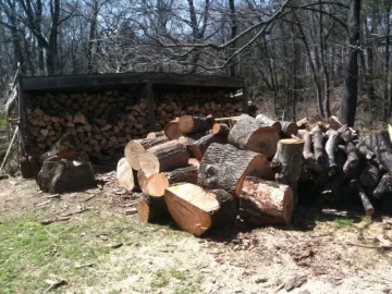 [Hearth.com] building wood shed