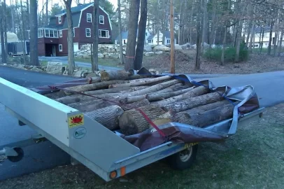 [Hearth.com] How much wood do you think this will haul?