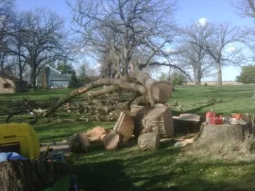 [Hearth.com] Big White Oak.  A piece of history down.