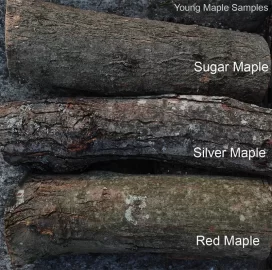 [Hearth.com] Wood Id. Oak or Maple?