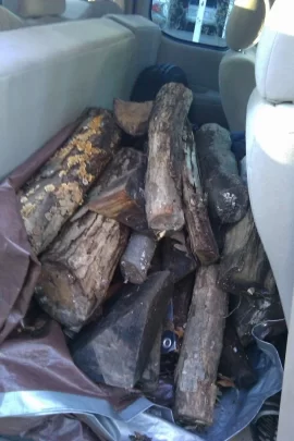 [Hearth.com] Quick score today - I OFFICIALLY have a "wood" problem