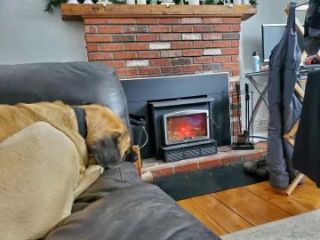 [Hearth.com] Your stove and your dog(s)