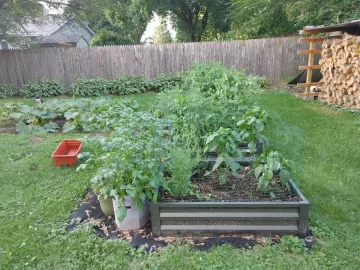 [Hearth.com] 2021 Garden Thread