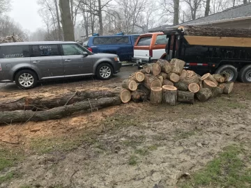 [Hearth.com] Any idea what kind of wood this is?