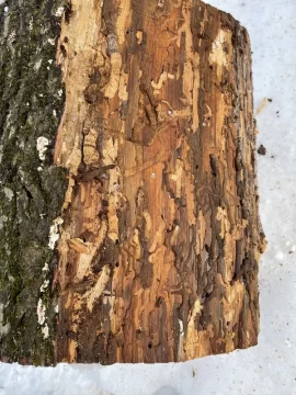 [Hearth.com] Help me id this wood