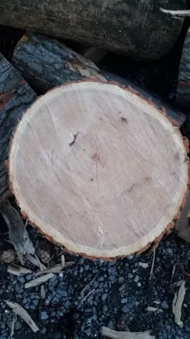 [Hearth.com] What is this firewood?