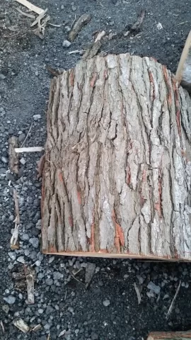 [Hearth.com] What is this firewood?