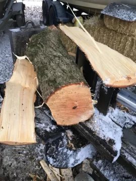 [Hearth.com] Slicing off the bark