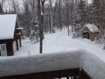 [Hearth.com] Show Us Your Wood Shed