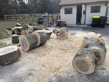 [Hearth.com] Big Stumps