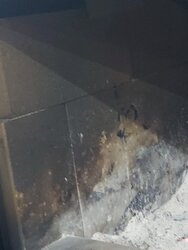 Cracked Doghouse on New Stove?