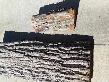 [Hearth.com] Wood ID request