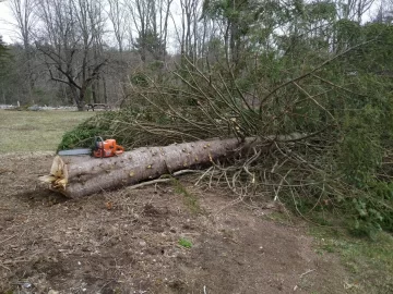 [Hearth.com] Blue spruce firewood