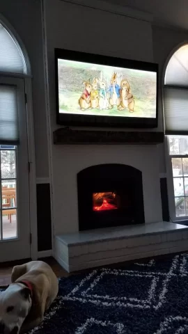 [Hearth.com] Wood-burning insert for arched fireplace