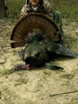 [Hearth.com] Turkey Hunting