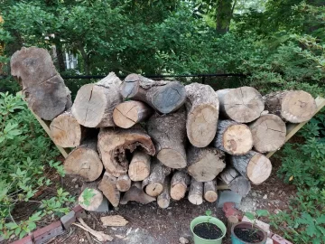 [Hearth.com] Judge my first year stacking wood?