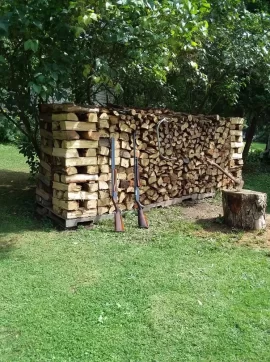 [Hearth.com] Judge my first year stacking wood?