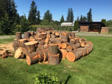 [Hearth.com] Wood shed/shelter