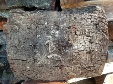 [Hearth.com] Wood ID Help?