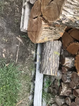 [Hearth.com] Termites in the Osage Orange logs I bought.