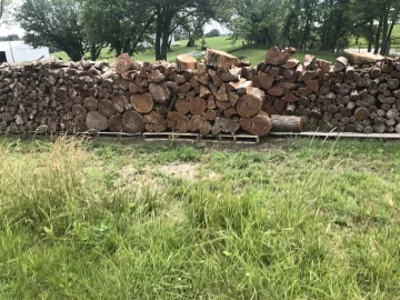 [Hearth.com] Termites in the Osage Orange logs I bought.