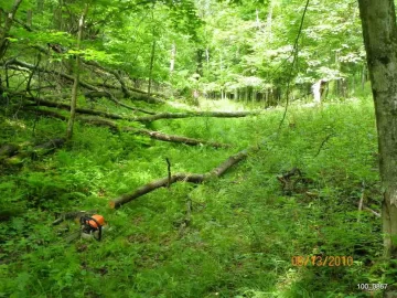 [Hearth.com] The Wife said Open up the Trail!